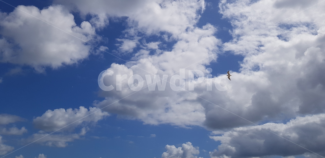 nature,자연,outdoors,sky,하늘,구름,cloud,자연,풍경,nature,landscape,옥외
