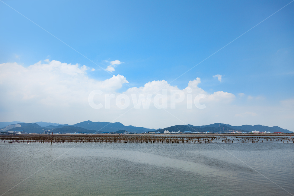 어업,산업,바다,풍경,바다풍경,자연,풍경사진,바다양식,sea,어장,landscape,bluesky,seascape,blue,indusry,industrial,fishery,산업,industry,industrial,어업,fishery,fishing industry