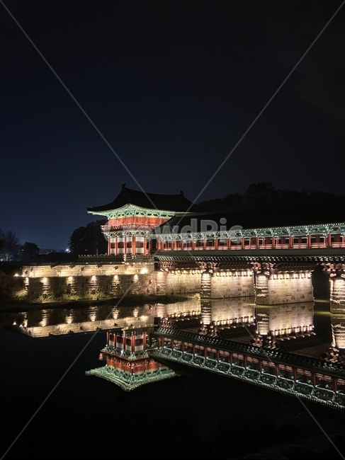감성사진,자연,식물,plant,tree,나무,풍경,scenery,outdoors,경치,월성교,경주,야경,밤,풍경,nightscape,night,landscape,한국전통,한국문화,korean traditional,korean culture,랜드마크,landmark,tourist attraction,한국랜드마크,한국관광지,한국명소,korea landmark,korea tourist attraction