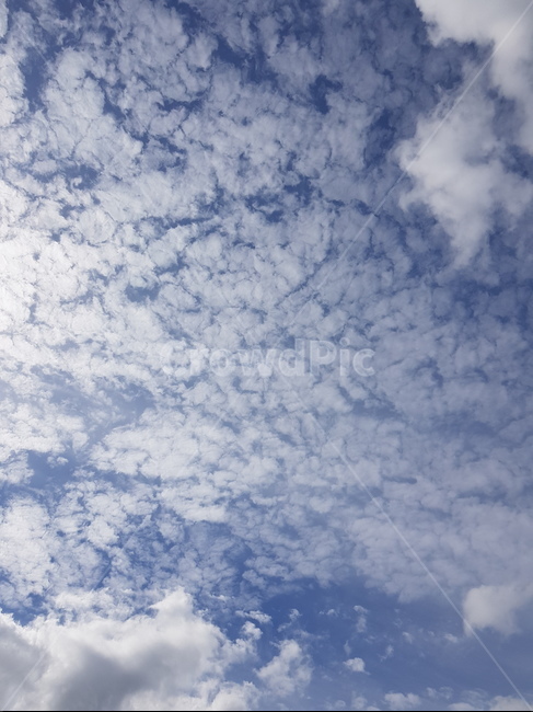 구름,하늘,파란하늘,뭉게구름,지진운,특이한구름,cloud,sky
