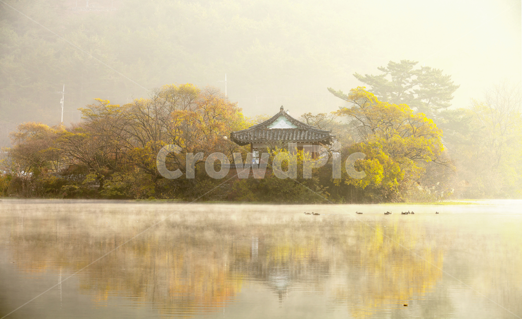 자연,밀양,위양지,물안개,단풍,가을,계절,fall,autumn,season,한국자연풍경,한국자연경관,korea nature landscape,한국전통,한국문화,korean traditional,korean culture