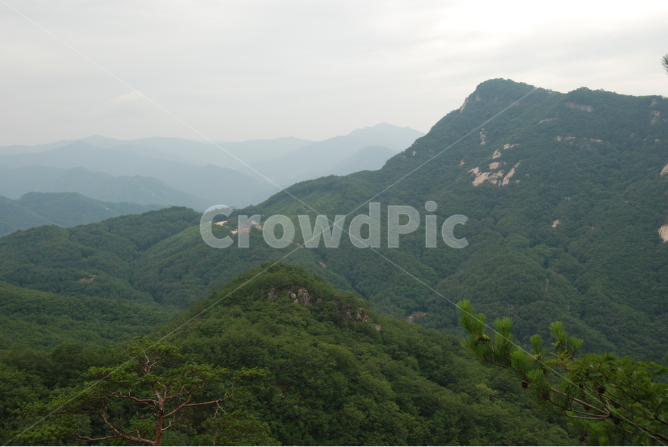 summer,hikingtrail,nature,mountain,산,자연,풍경,nature,landscape,slope,경사,outdoors,옥외,hill,언덕