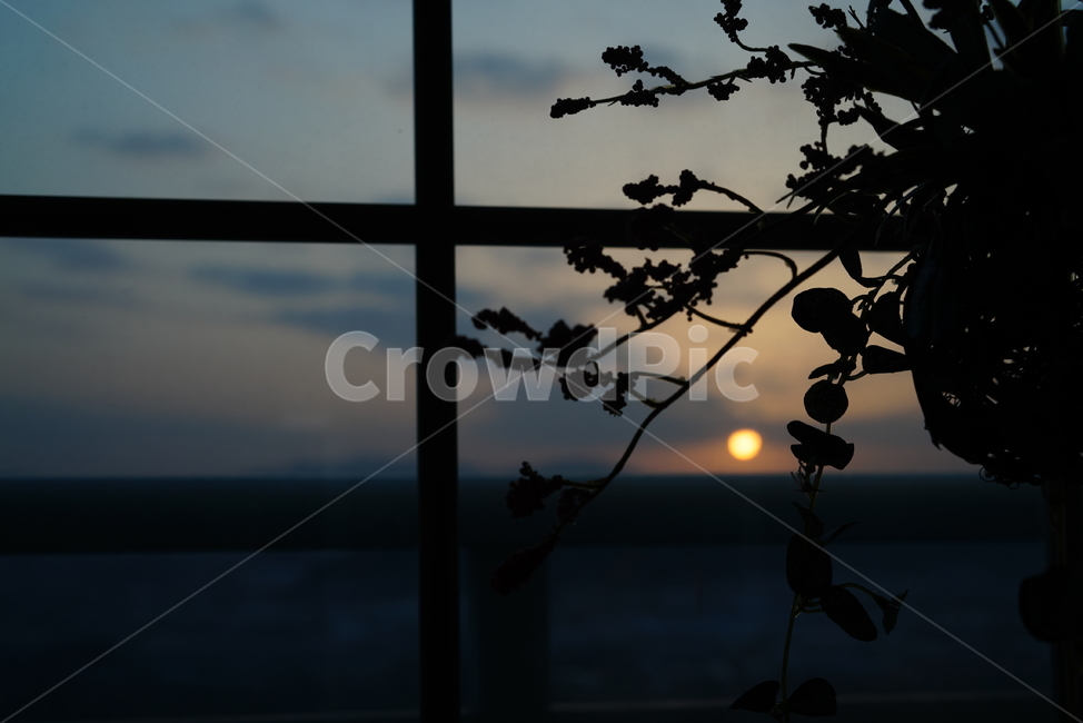 일출,태양,해,풍경,창,창가,window,자연,느낌,감성,구름,하늘,실루엣,sun,shine,색감,식물,자연,plants,nature,실루엣,그림자,silhouette,shadow
