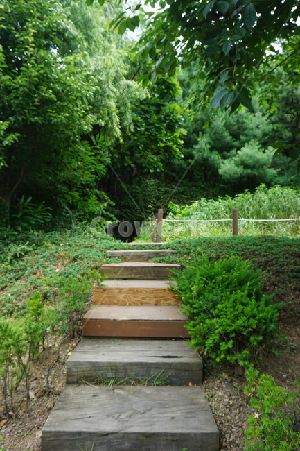 계단,숲,길,나무,초록,자연,풍경,nature,landscape,arbour,정자,garden,정원,outdoors,옥외,path,통로