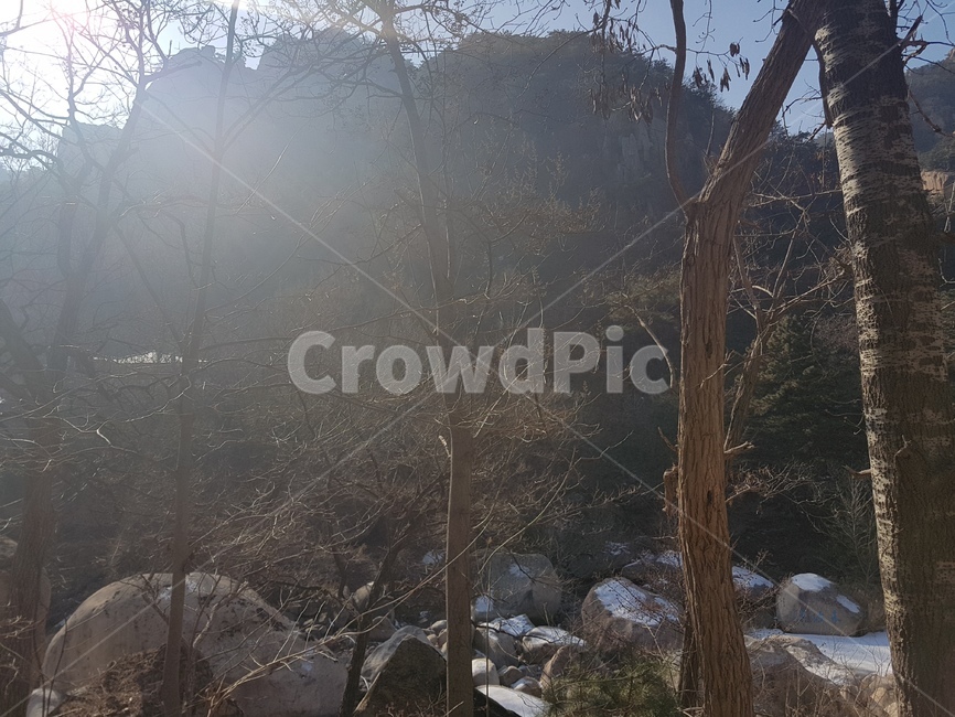 절벽,겨울산,산,겨울나무,눈덮인돌