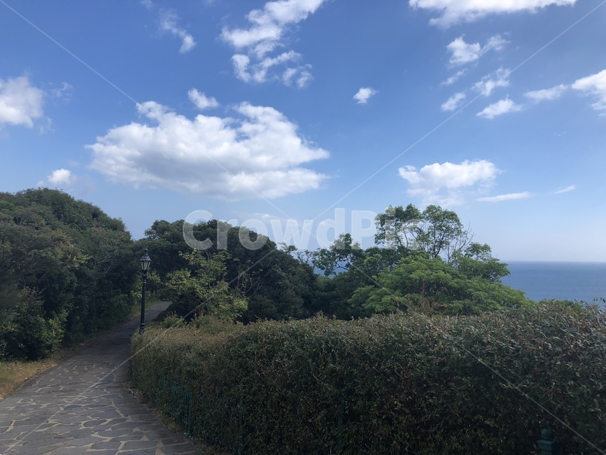 하늘,바다,도로,나무,구름,풀,sky,sea