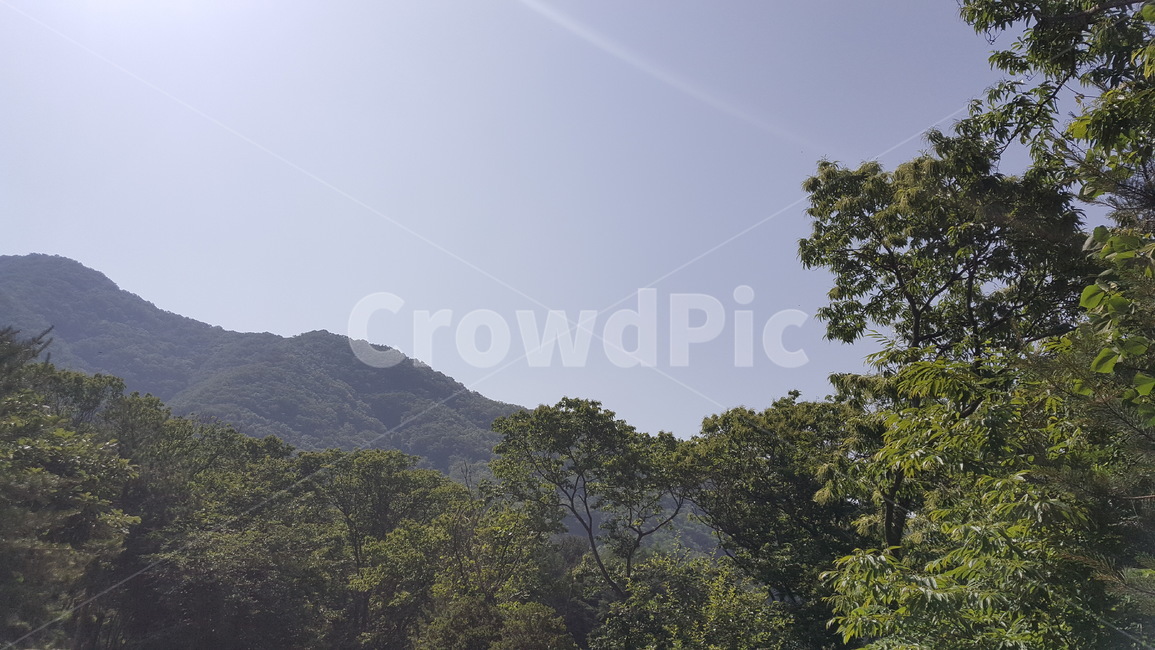 산,풍경,하늘,자연,나무,mountain,자연,풍경,nature,landscape,outdoors,옥외