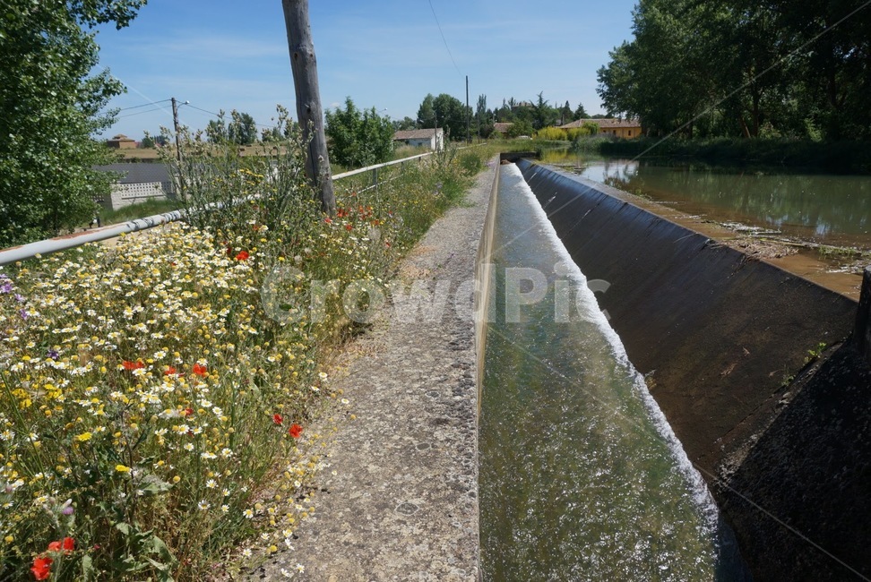 자연,스페인,풍경,휴가,봄,유럽,nature,spain,landscape,holiday,europe,water,물,꽃,flower,wild,야생화