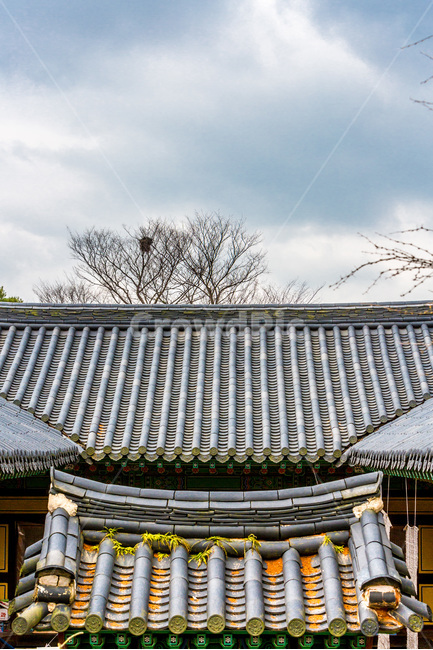 기와,선,무늬,전통,문화유산,사찰,한국전통,한국문화,korean traditional,korean culture,건축물,건물외관,exterior,building,structure,architecture,construction