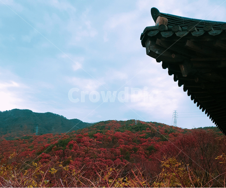 temple,architecture,건축물,절,building,건물,단청,기와,지붕,loof,산,mountain,가을,fall,autumn,maple,단풍,한국전통,한국문화,korean traditional,korean culture