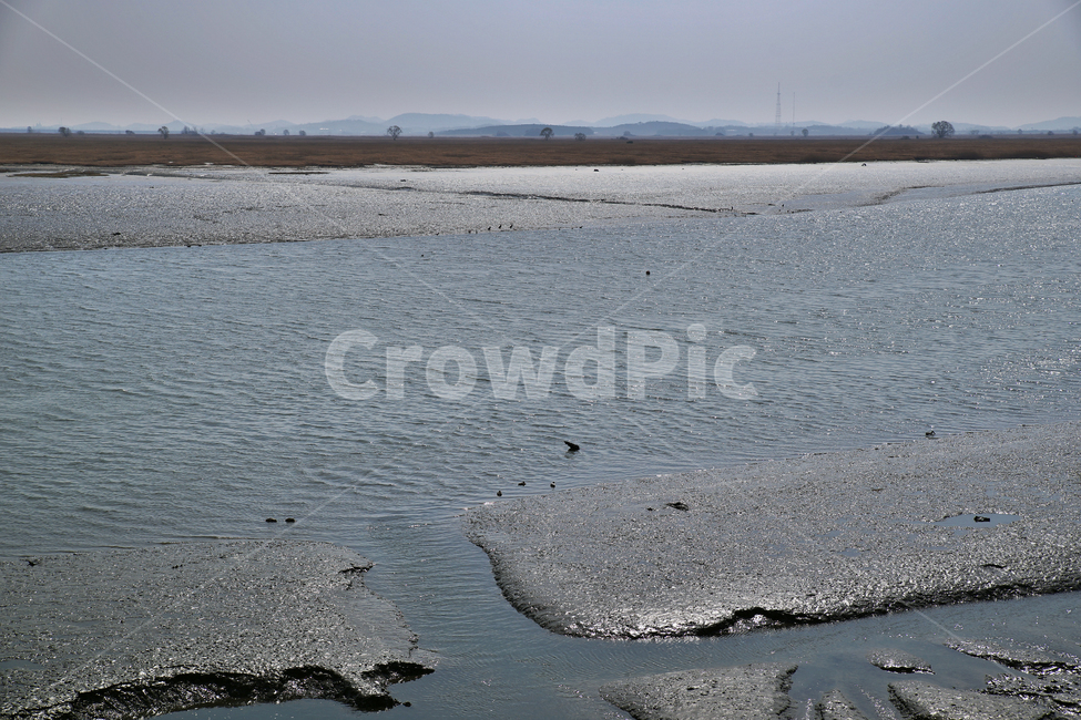 시화호,화성시,바다,간척지,시화방조제,갯벌,갯골,썰물,자연,풍경,nature,landscape