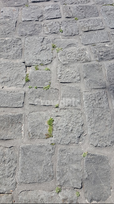 돌길,보도,walkway,한국적,네모,사각형,판석,텍스처,질감,패턴,texture,pattern
