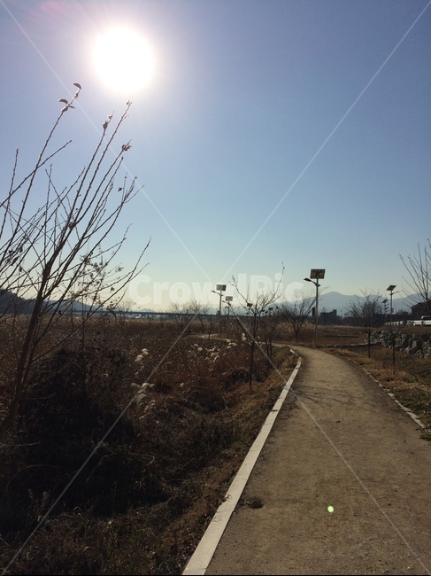 산책,가을,오후,길,걷다,생각,하늘,fall,가을하늘,태양,나뭇가지,빛,walk,korearoad,natural,autumn,warm,sunnyday,sky,자연주의,감성사진,풍경,korea,alone,country