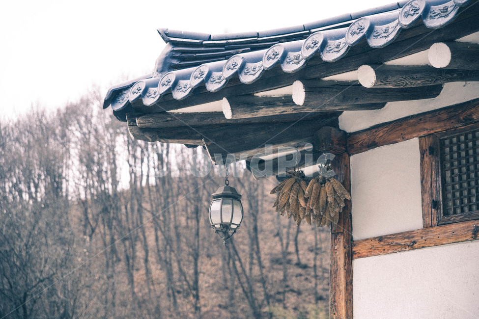 한옥,전통,기와집,roof,지붕