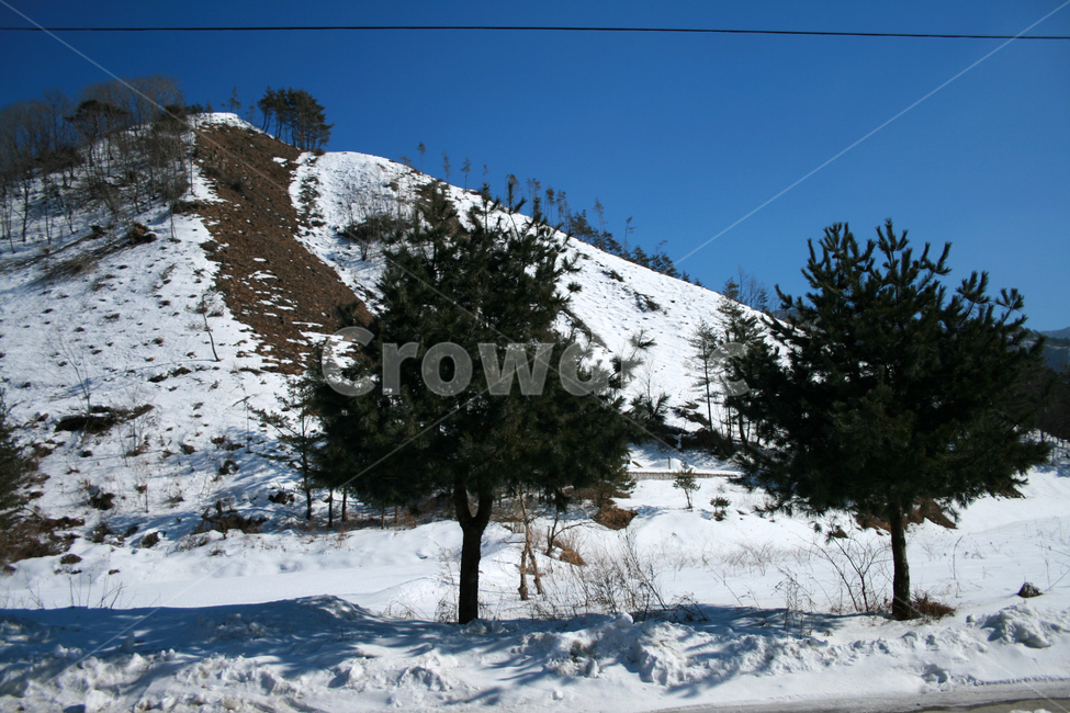 겨울,눈,하늘,나무,풍경,산,겨울,계절,winter,season,자연,풍경,nature,landscape,tree,plant,식물,fir,전나무