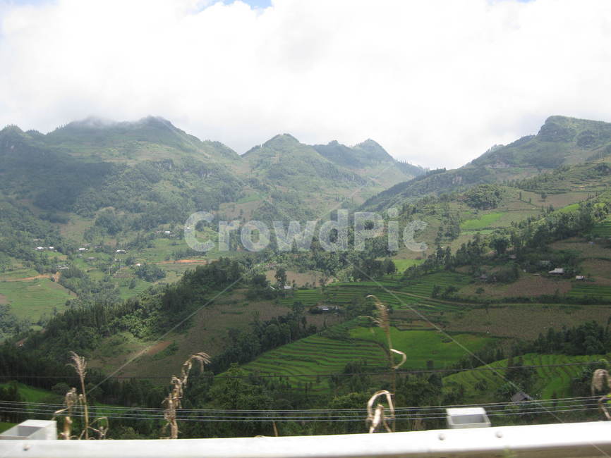 nature,자연,outdoors,옥외,countryside,산,mountain,green,ricefield,paddyfield,논,경사,slope