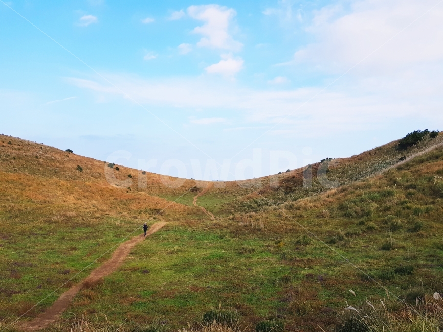 제주,jeju,제주도,jejudo,여행,풍경,landscape,오름,갈대,억새,가을,계절,fall,autumn,season,자연,풍경,nature,landscape,한국자연풍경,한국자연경관,korea nature landscape,제주도,jeju,jeju island,outdoors,옥외