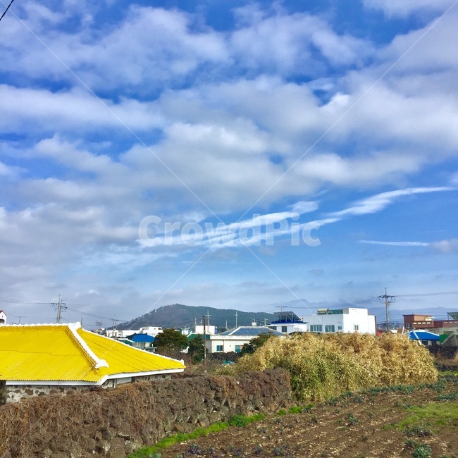 제주도,풍경,하늘,가을,노랑,제주도,jeju,jeju island,시골,마을,풍경,landscape,country,rural,town,nature,자연,outdoors,옥외,농촌,shelter,피난처,building,건물