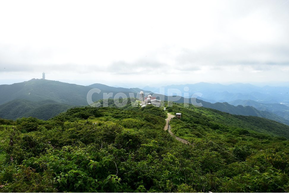 소백산,풍경,초록,자연,여름,경치,비경,등산,산행,힐링,아름다운,계절,명산,국립공원,nature,landscape,능선,제2연화봉,자연,풍경,nature,landscape,한국자연풍경,한국자연경관,korea nature landscape,hill,언덕,outdoors,옥외