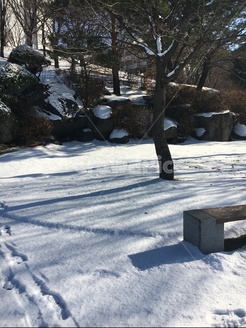겨울,눈,쓸쓸함,그림자,발자국,겨울,계절,winter,season