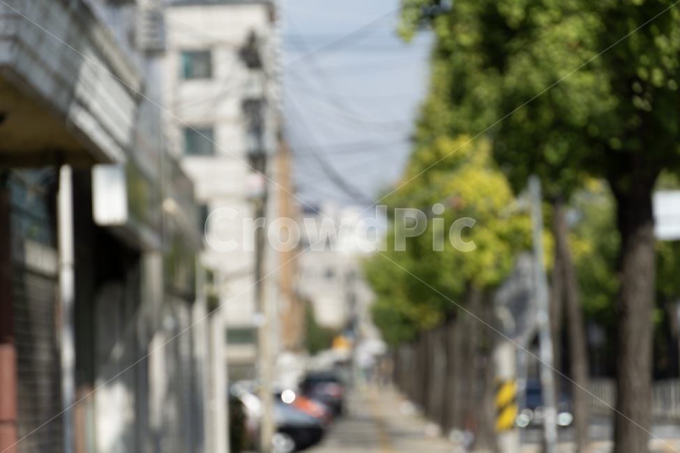 거리,초점,흐림,길거리,도로,보행자,통로,길,골목길,alley