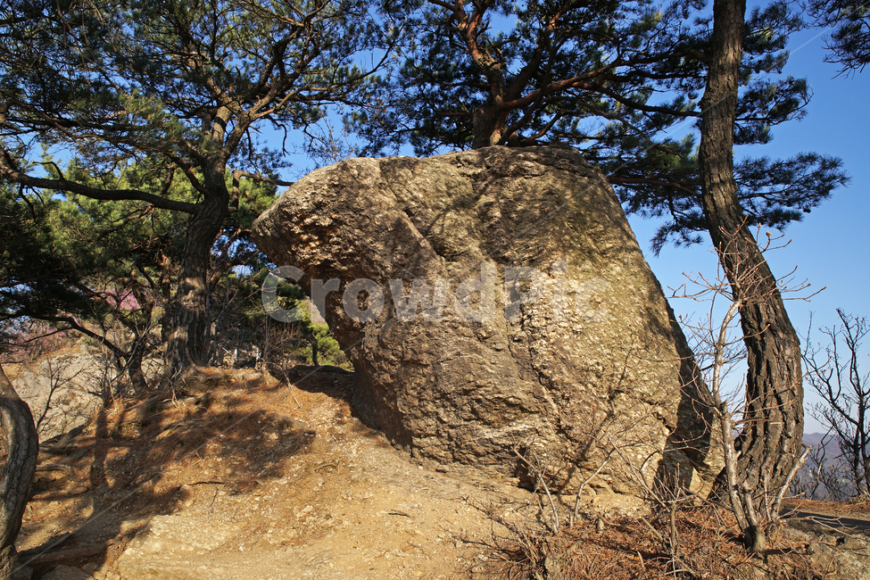 모락산,경기도,의왕시,바위,나무,자연,등산