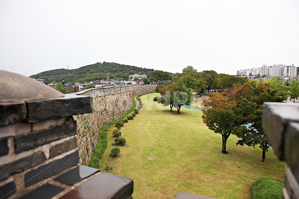 수원화성,성,성곽,길,둘레길,돌담,담,가을,자연,풍경,벽,방어벽,식물,전통,한국전통,한국문화,korean traditional,korean culture
