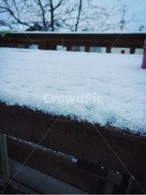 자연,옥외,눈,겨울,snow,계절,풍경,나무,winter