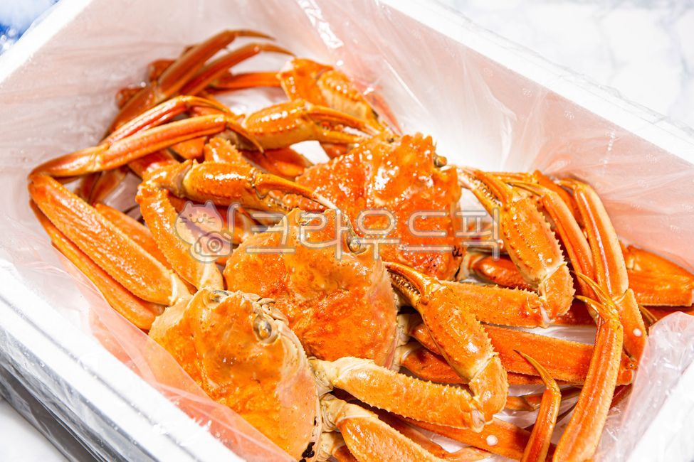 러시아대게,대게,홍게,킹크랩,대게찜,홍게찜,영덕대게,동해안대게,음식,식재료,요리,food,cook,meal,dishes,food reserves