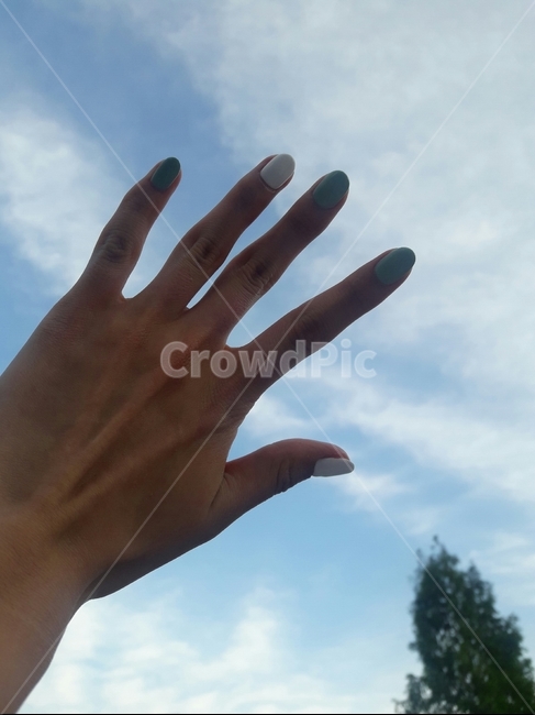 네일,여자손,손,nailart,네일아트,hand,finger,하늘위손