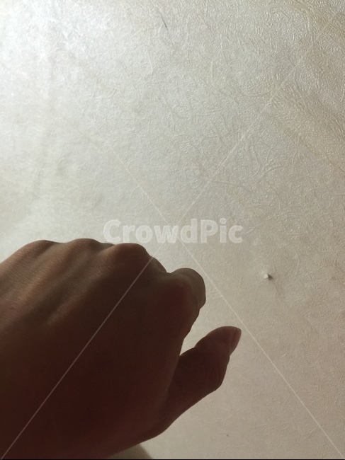 손등,손,남자손,손가락,손톱