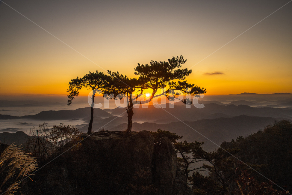 일출,자연,대둔산일출,새벽,붉은하늘,운해,자연,풍경,nature,landscape