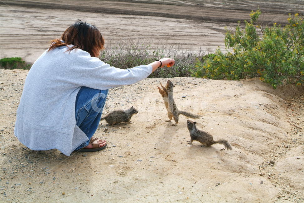 squirrel,다람쥐,땅다람쥐,신기,신남,동물,animal,인간,human,ground,fun,cute,animals,동물,animal,포유류,mammal,사람,인물,인간,human,person,남성,남자,man,male