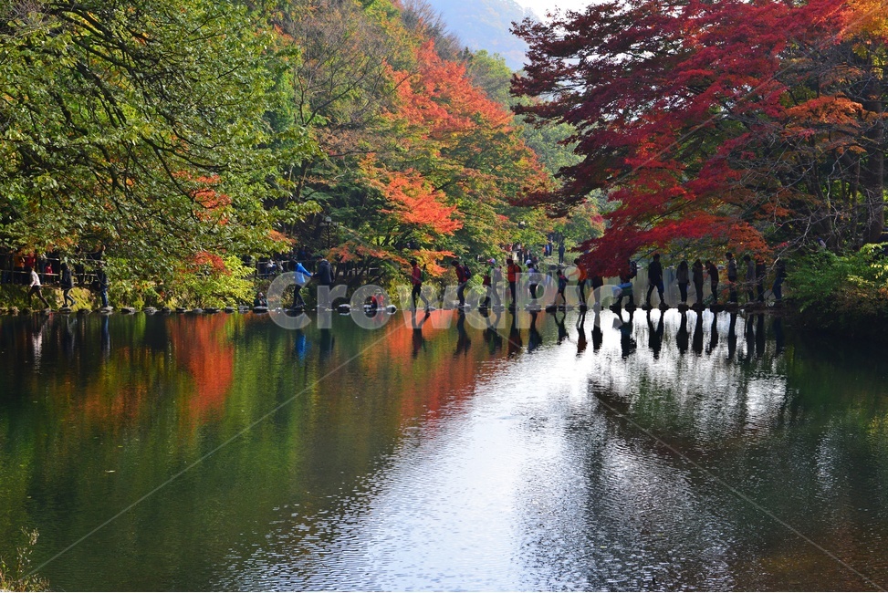 전남,장성,백양사,돌다리,연못,가을,반영,사람,빨강,녹색,tree,나무,plant,식물,maple,단풍,water,물,가을,계절,fall,autumn,season