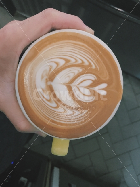 커피,라떼아트,홈카페,일상,사진,사람,인물,인간,human,person,커피,카페,coffee,cafe