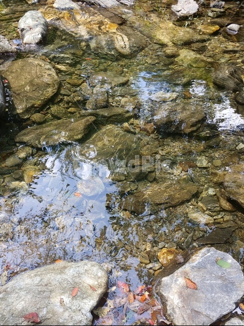 water,물,자연,nature,계곡