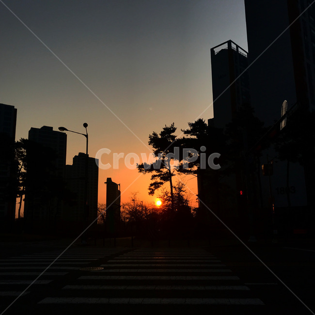 아스팔트,일출,일몰,붉은노을,붉은하늘,하늘,sky,역광