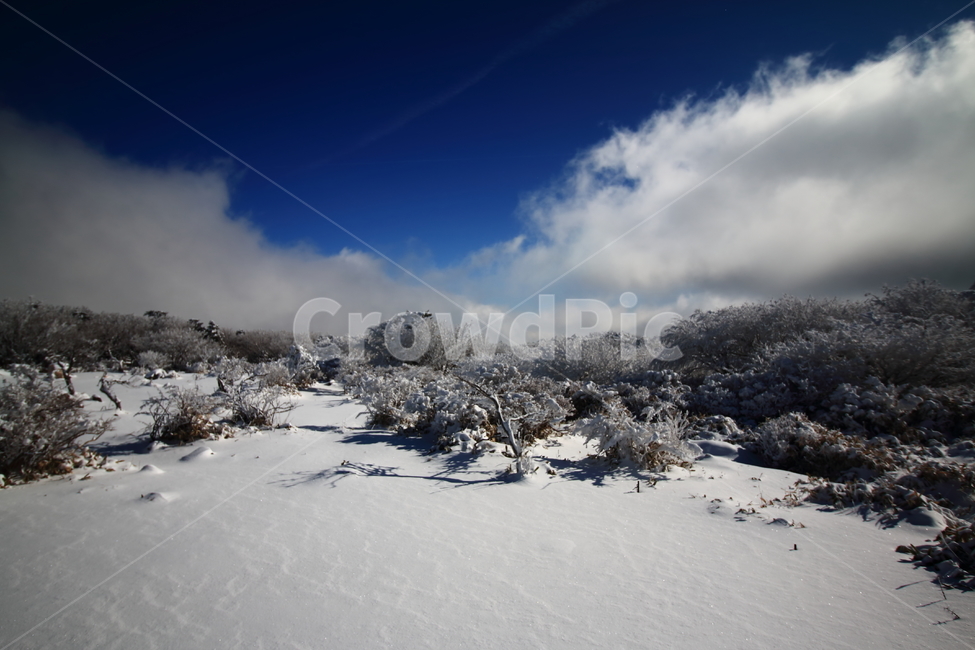 진달래휴게소,nature,자연,tree,나무,outdoors,제주도,한라산,등산,눈꽃,jeju,hiking,mountain,climbing,겨울,계절,winter,season