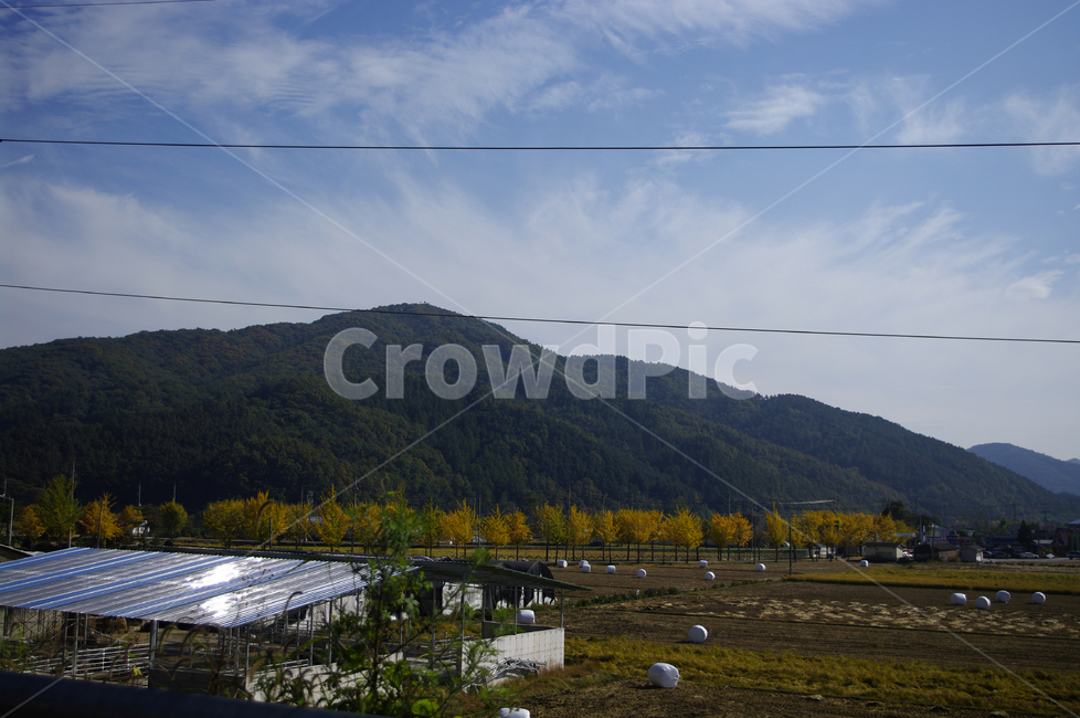 논,볏짚,풍경,산,하늘,농촌,시골,시골,마을,풍경,landscape,country,rural,town,산업,industry,industrial,농업,농사,agriculture,farming,farming industry