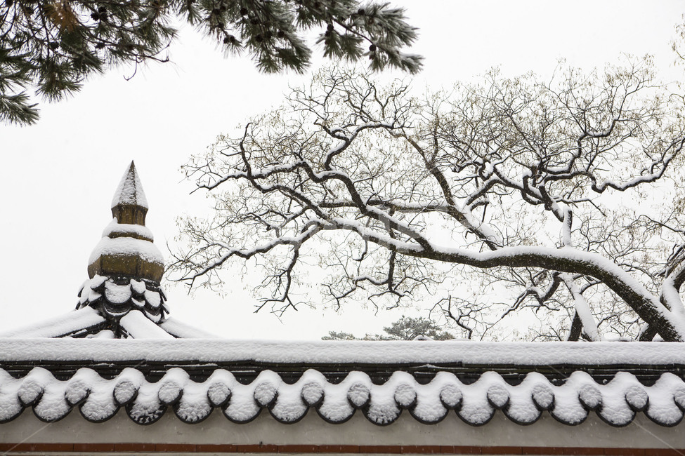 담벼락,설경,눈꽃,풍경,감성,겨울,계절,winter,season,한국전통,한국문화,korean traditional,korean culture,식물,자연,plants,nature,나무,trees,wood,건축물,건물외관,exterior,building,structure,architecture,construction