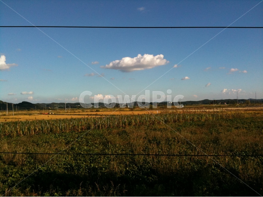 강화도,한국,구름,전선,논밭,가을,자연,풍경,nature,landscape,outdoors,옥외,weather,날씨,cloud,cumulus,적운,sky,하늘