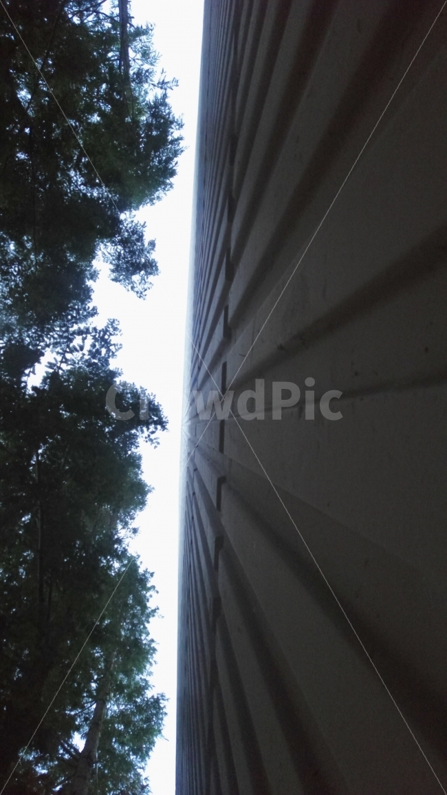 하늘,sky,벽,나무사이,틈,건축물,건물외관,exterior,building,structure,architecture,construction