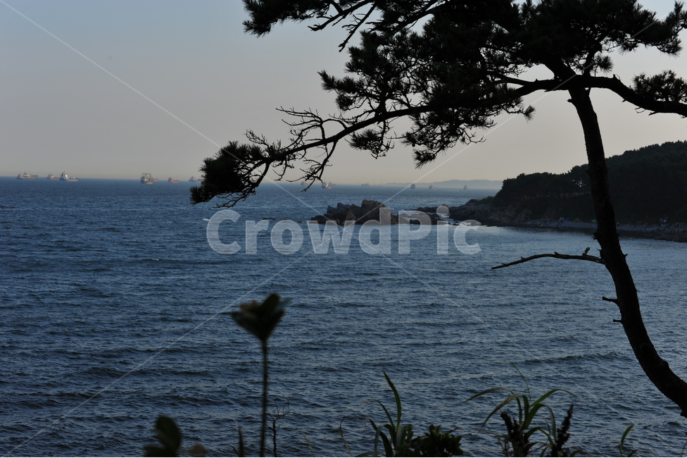 바다,나무,여유,푸른,자연,물,sea,해안선,연안,coast,water,자연,풍경,nature,landscape,land,땅,outdoors,옥외,ocean,대양,shoreline,promontory,곶