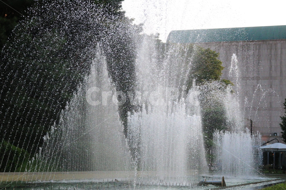분수,분수대,물,공원,예술의전당,나무,소나무,자연,풍경,nature,landscape,water,fountain