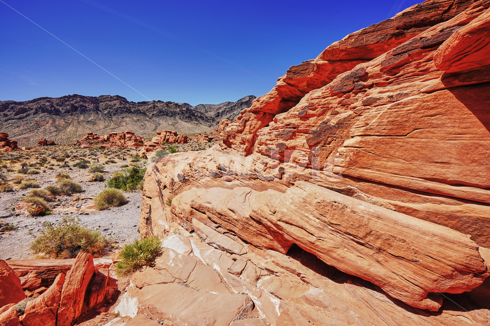 불의계곡,valleyoffire,건조한,dry,풍경,파란하늘,지층,red,sandstone,rock,자연,풍경,nature,landscape,해외,외국,세계,foreign,oversea,world,세계자연풍경,해외자연풍경,외국자연풍경,world nature landscape,outdoors,옥외,mountain,산