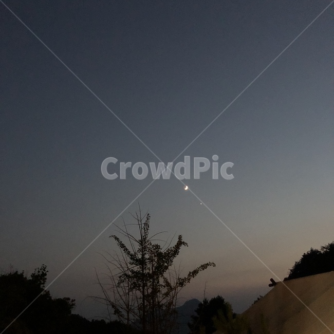 달,밤,캠핑,숲,풍경,저녁,감성,자연,풍경,nature,landscape,야경,밤,nightscape,night,outdoors,옥외