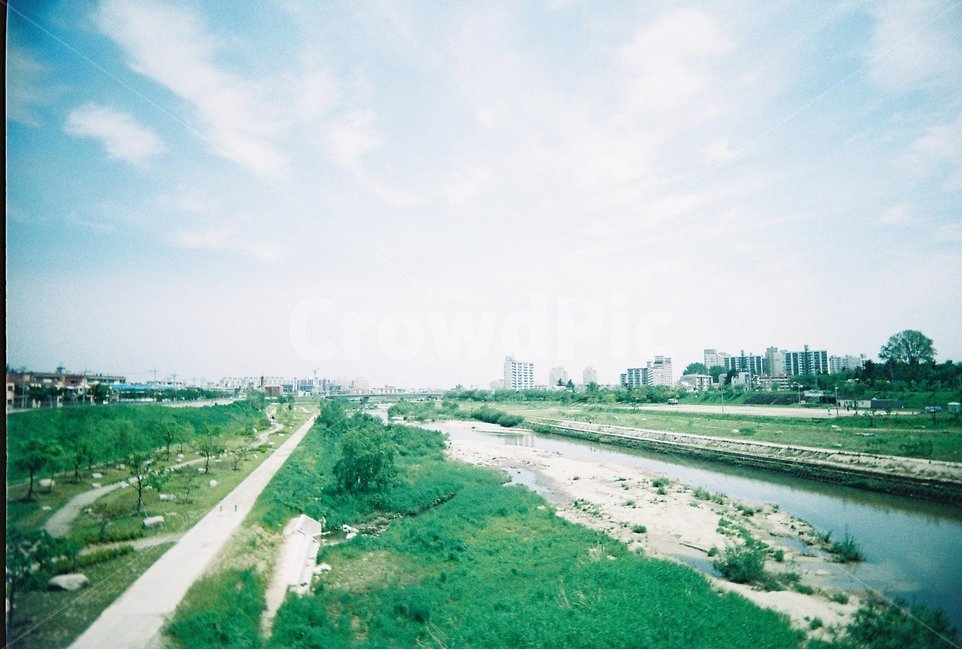 하천,풍경,식물,강,필름카메라,강릉,남대천,도시,풍경,city,landscape,한국도시풍경,한국도시경관,korea cityscape