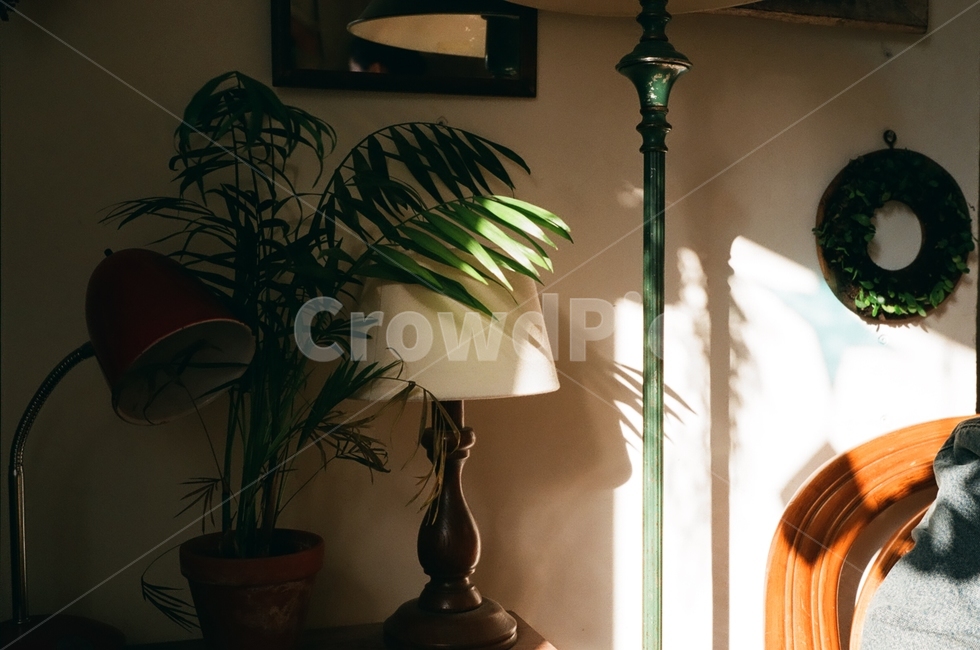 실내,조명,빛,햇빛,식물,인테리어,인테리어,실내디자인,interior design
