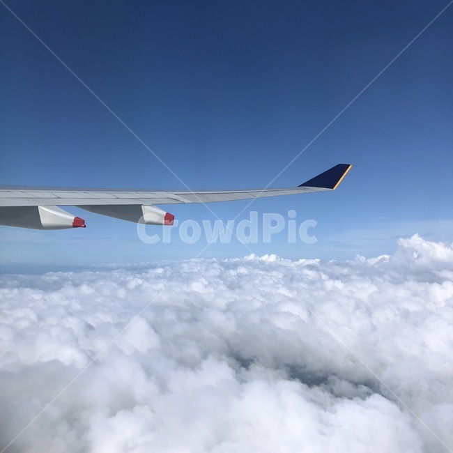비행기,구름,여행,비행기구름,하늘,여행,휴가,traveling,vacation,trip