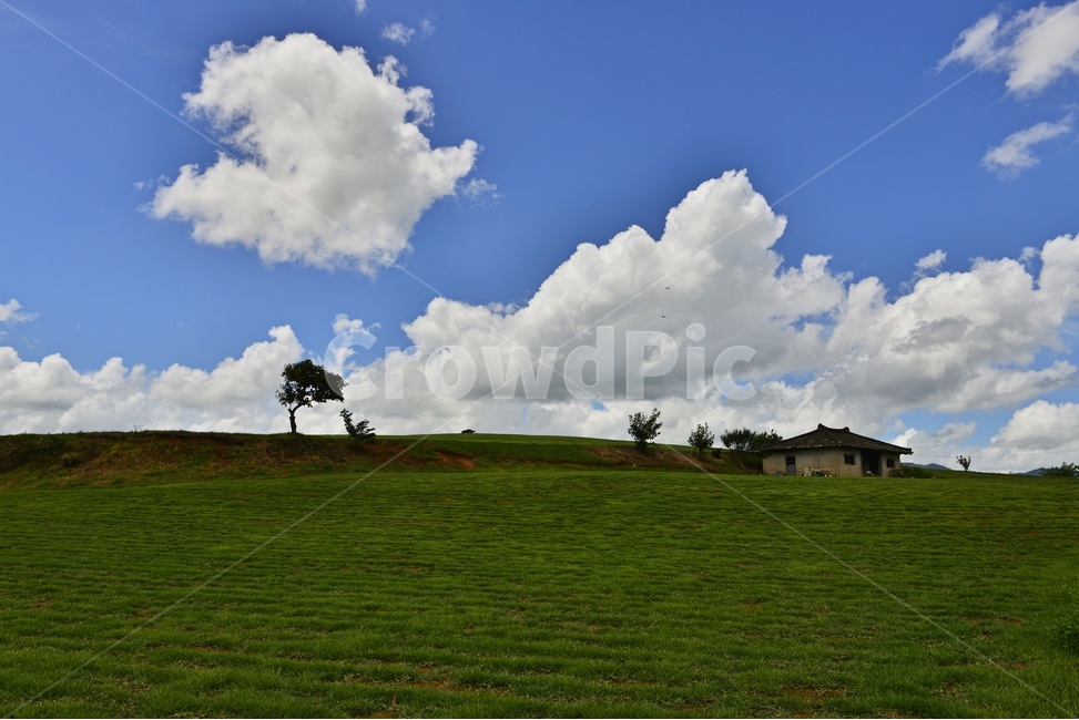 장성,삼서,외딴집,구름,경치,경관,풍경,nature,자연,outdoors,옥외,field,들,grassland,목초지,잔디